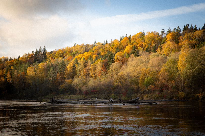 Fall landscape with all Lightroom effects panel adjustments applied