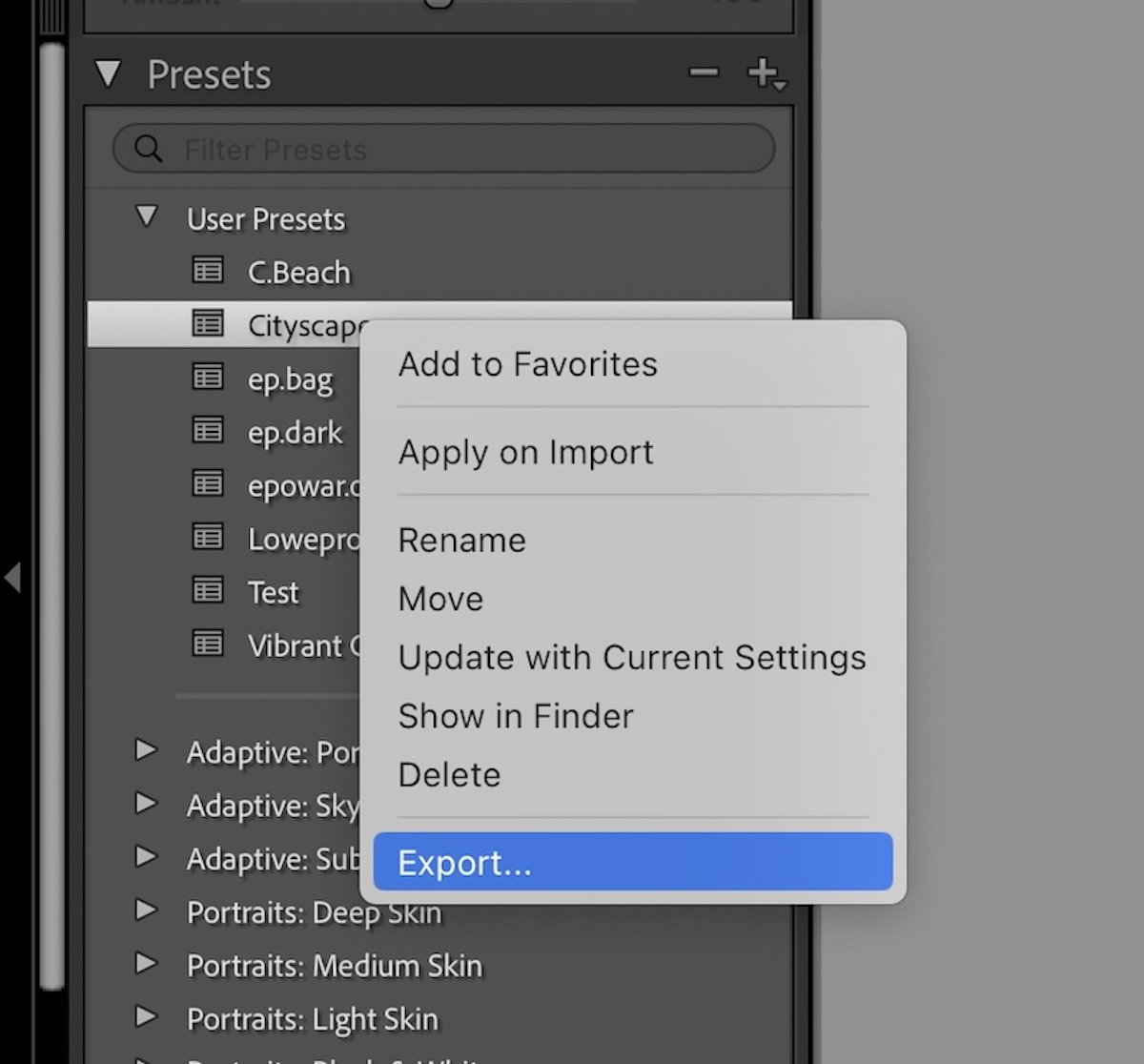 screenshot of lightroom classic export preset button