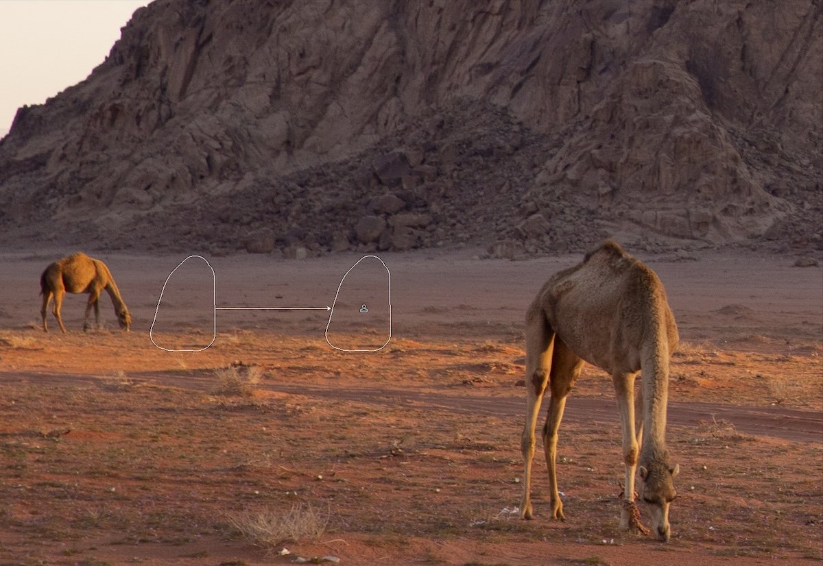 Crop of photograph of a mountain with camels in the foreground with clone tool being used