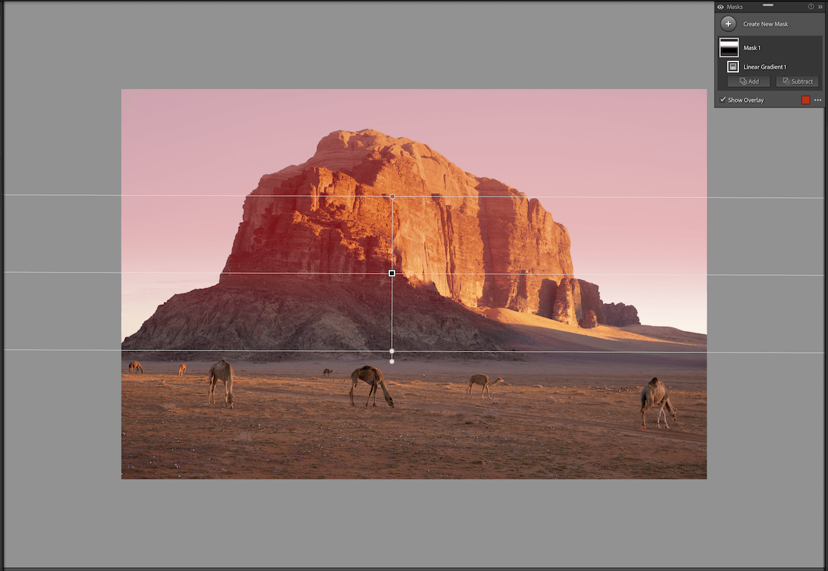 photograph of a mountain with camels in the foreground with a linear gradient filter being placed over it