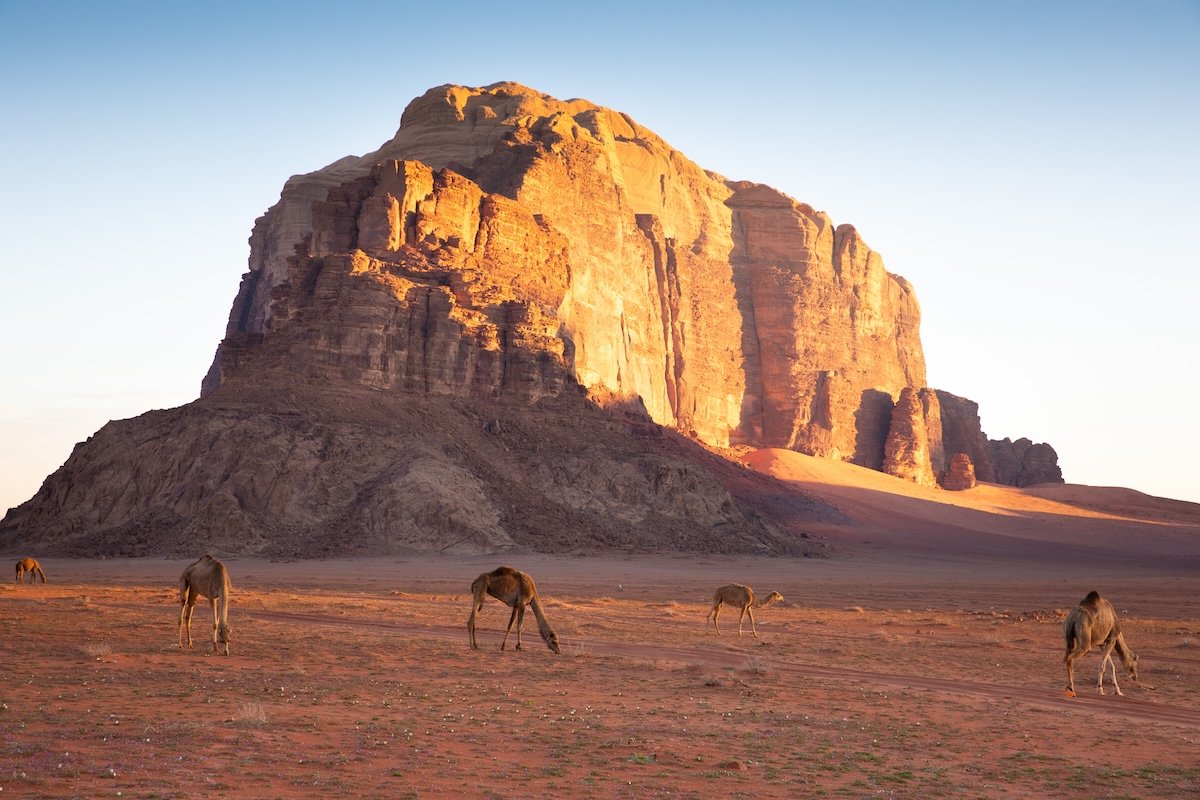 Photograph of a mountain with camels in the foreground edited in lightroom