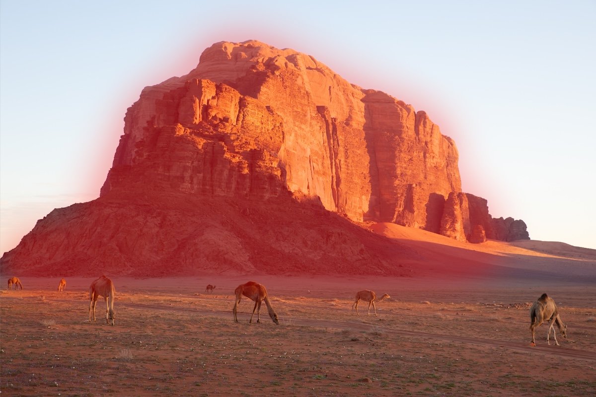 photograph of a mountain with camels in the foreground with a brush mask over it