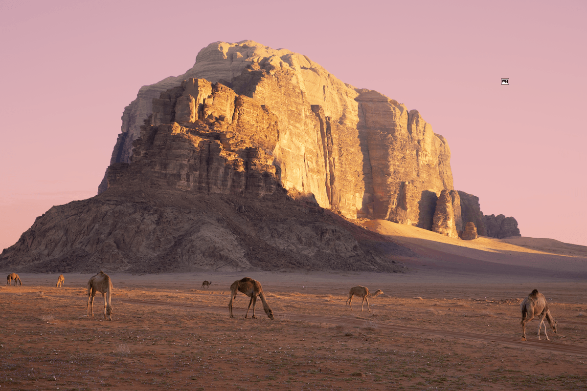 photograph of a mountain with camels in the foreground with a mask applied to the sky