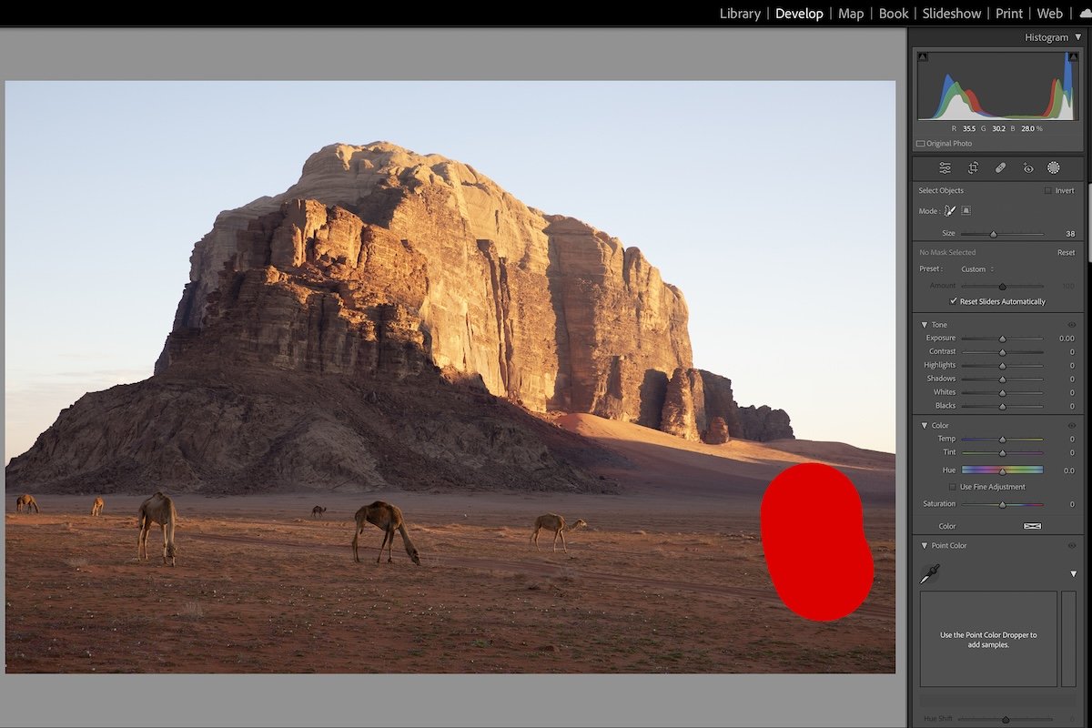 photograph of a mountain with camels in the foreground in lightroom with the objects brush being used on the photo