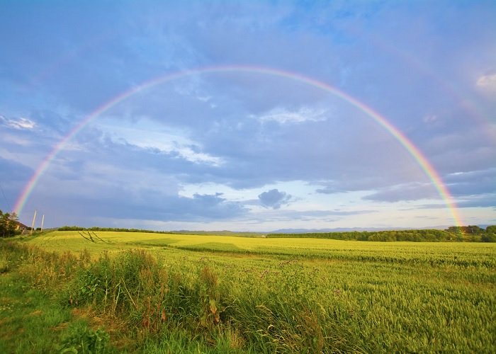 Image of a green field with a rainbow arching over it