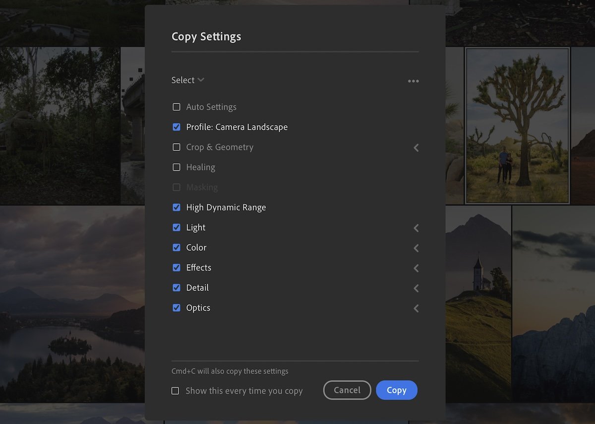 screenshot of lightroom showing the copy edit settings box