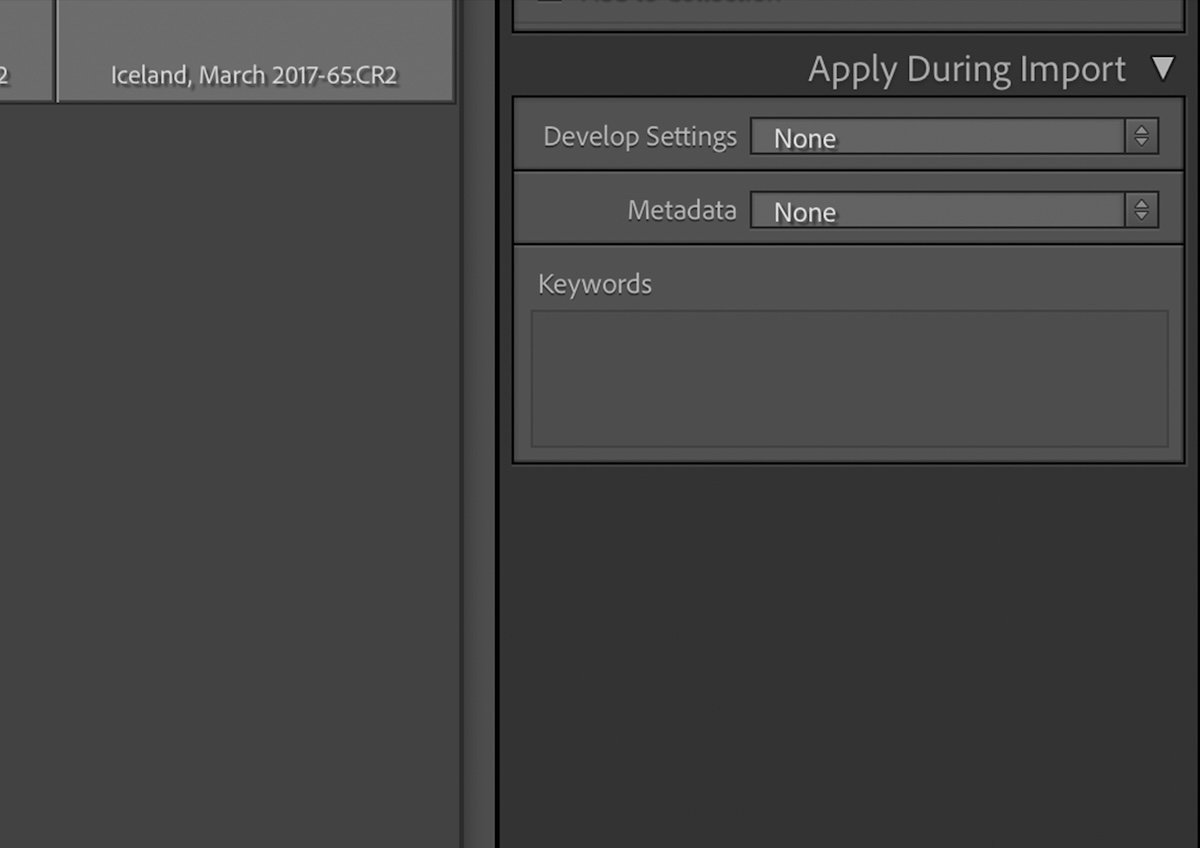 close up crop of screenshot of import interface in classic to batch edit in lightroom