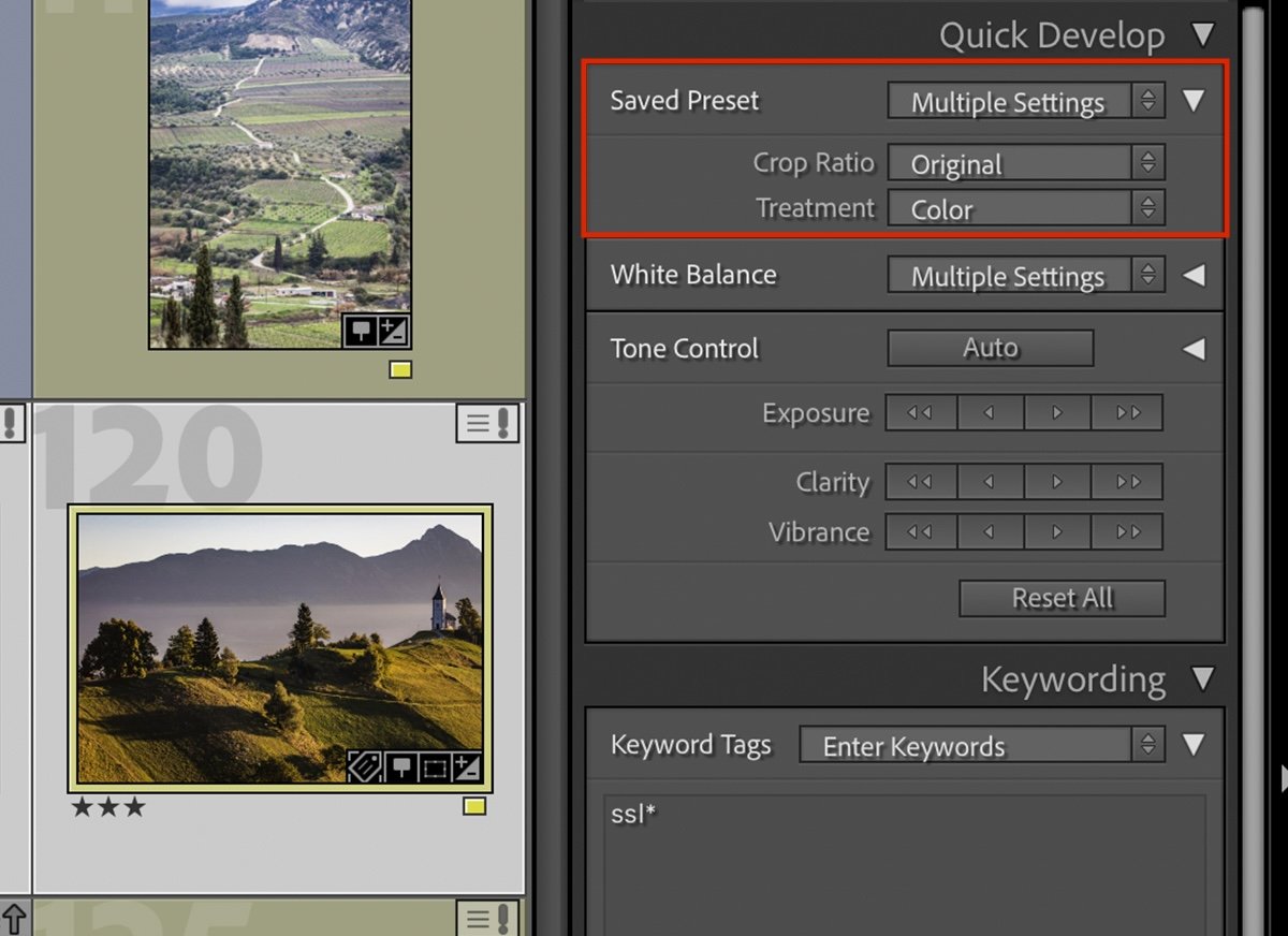 cropped screenshot of lightroom interface highlighting the saved preset section