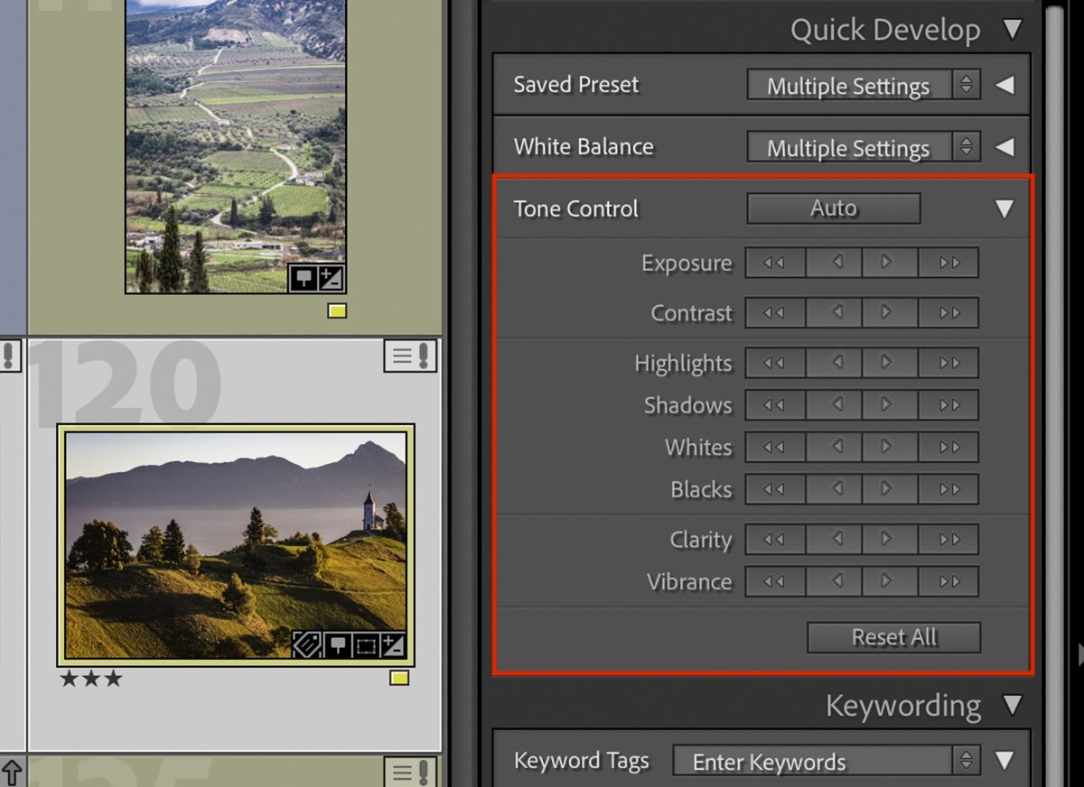 cropped screenshot of lightroom interface highlighting the tone control section