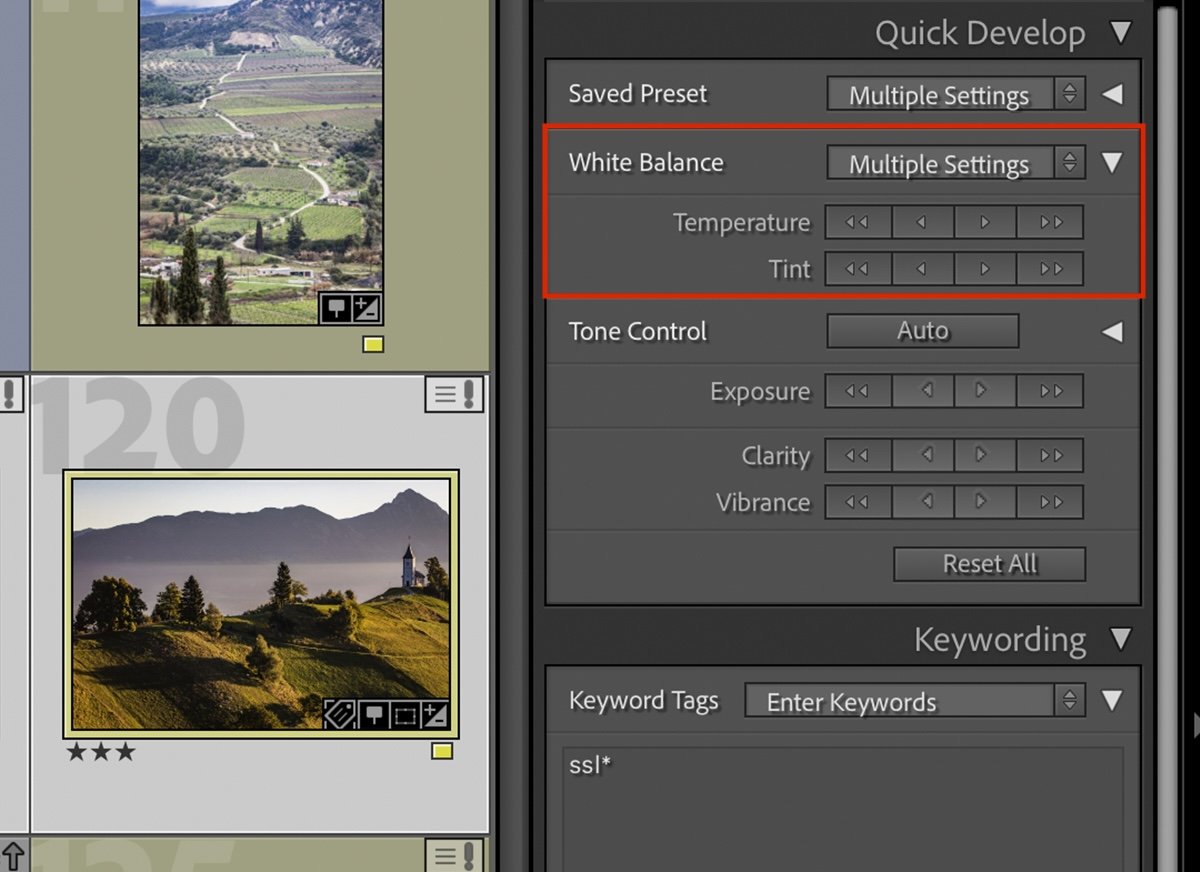 Tips for Faster Editing: Learn How to Batch Edit in Lightroom