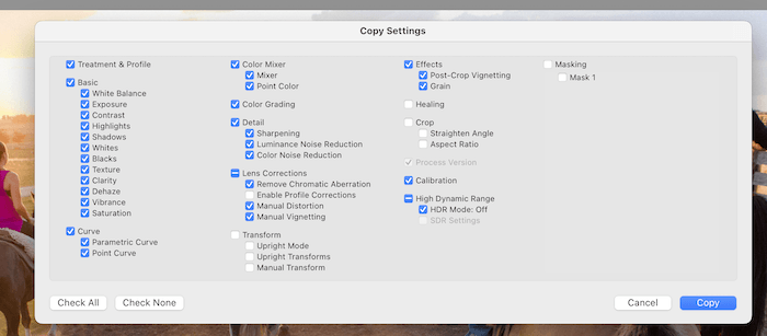 screenshot of settings you can copy in adobe lightroom