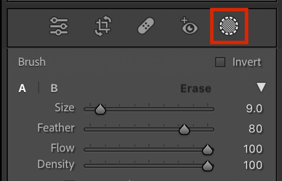 screenshot of lightroom classic with the mask icon highlighted in a red box