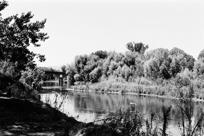 Black & white film image of still river with trees either side
