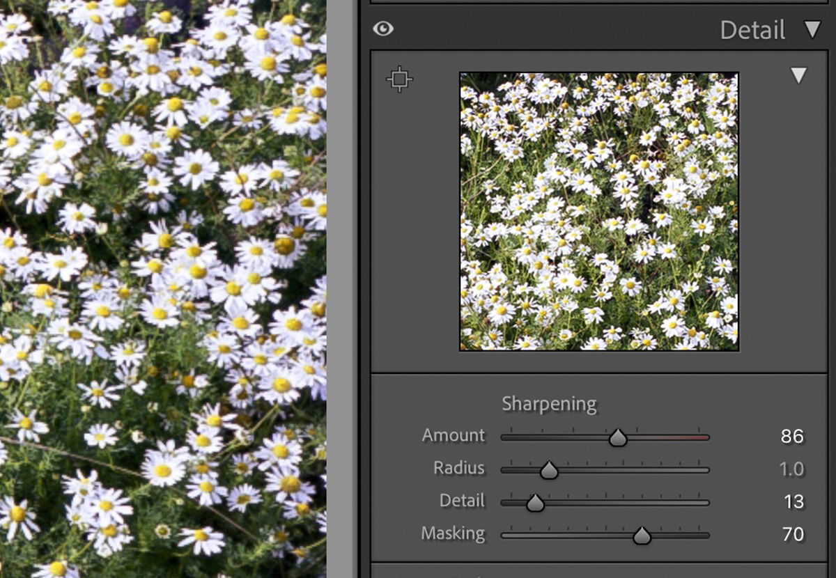 screenshot of editing panel in lightroom classic