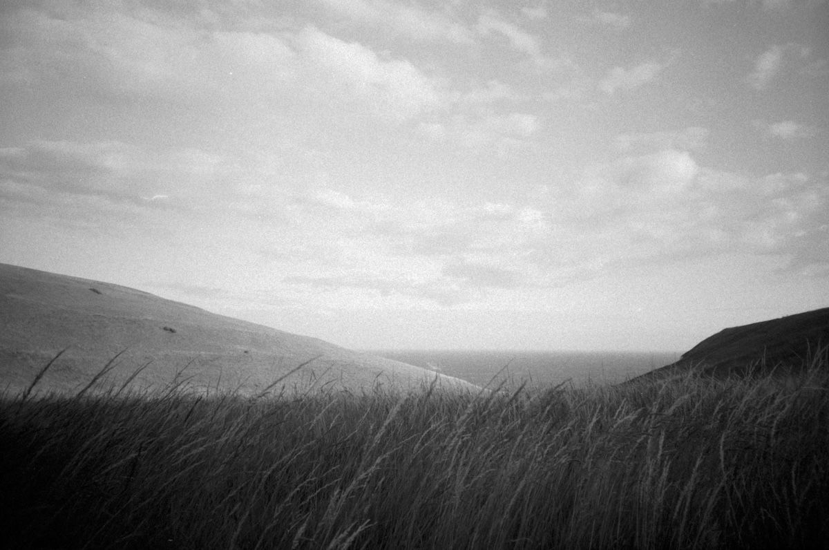 grainy 35mm film photo of a beach