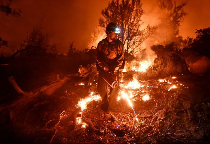 Firefighter in the middle of a wildlife