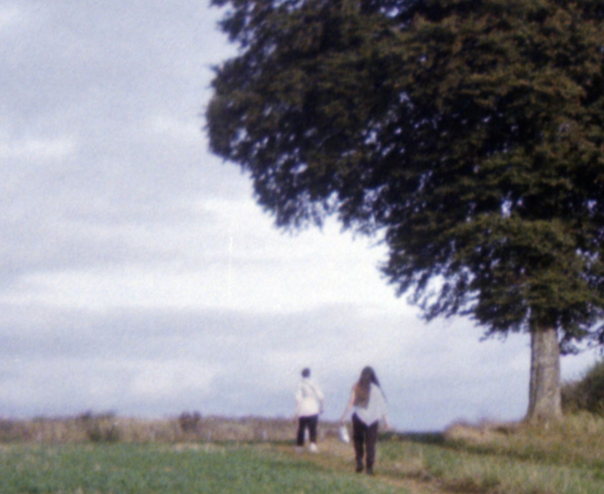 crop of photograph showing a hill and a tree
