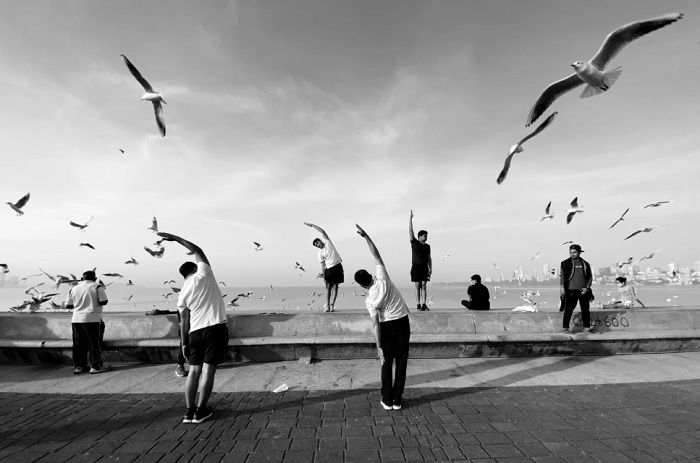 people exercising at the waterfront with gulls flying around them