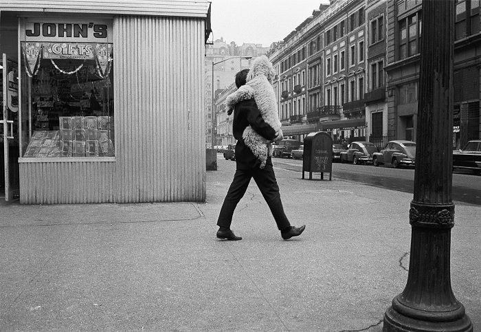 Black and white image of man carrying big dog down a city street