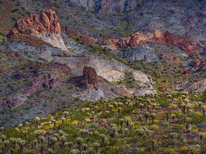 High-elevation shot of rocky desert with flowers