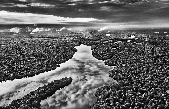 Aerial shot of Amazon river