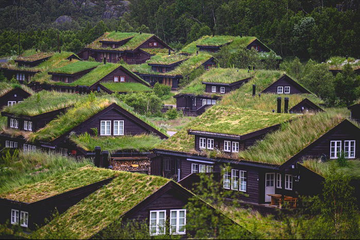 Houses with grass roofs