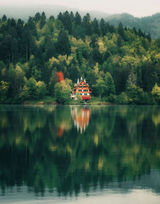 Lakeside house amongst trees