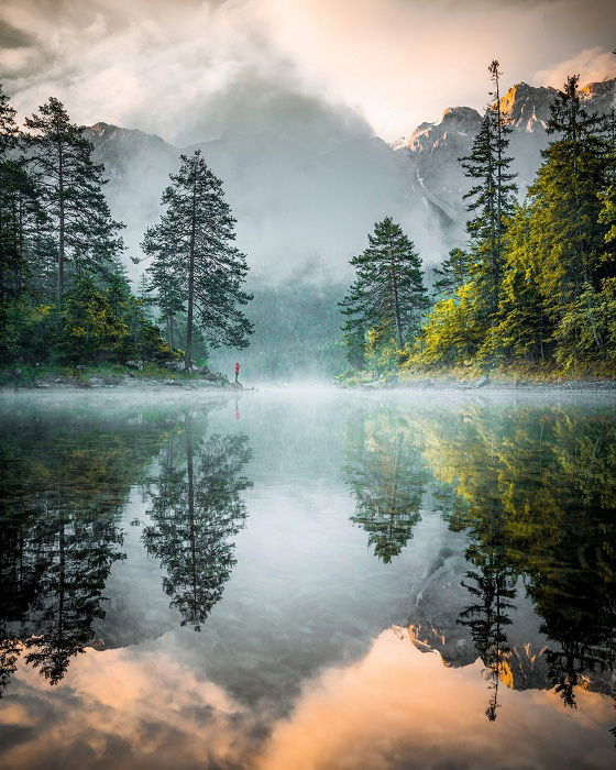 Trees on the edge of a misty lake