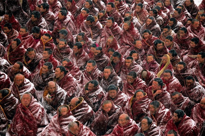 Many monks in the snow