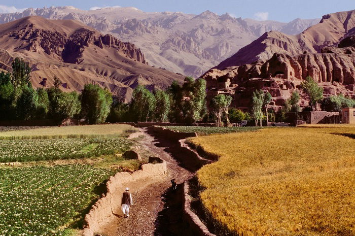 Fertile valley beneath mountains