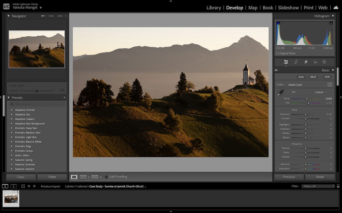 screenshot of lightroom interface