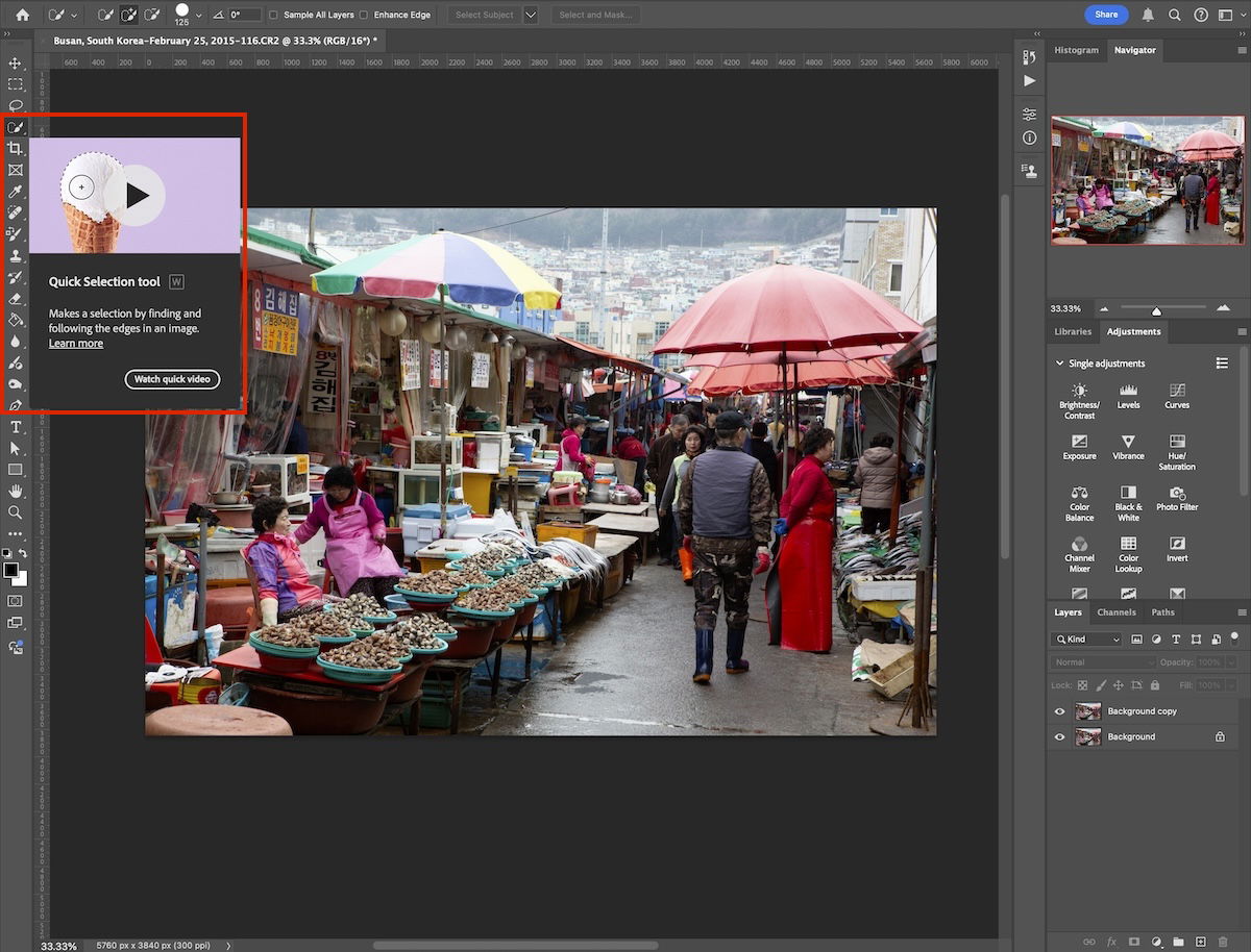 screenshot of photoshop highlighting quick select tool