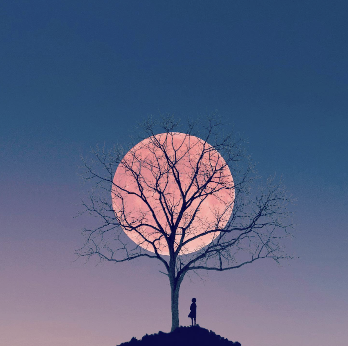 photo of person under a tree with moon in background